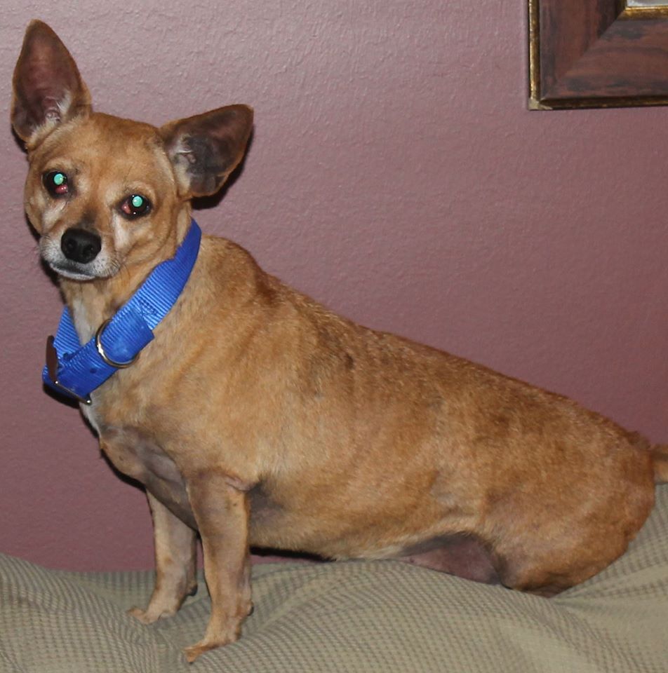 What’s up with hot spots?