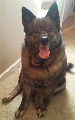 Meet Regan – weight loss success!