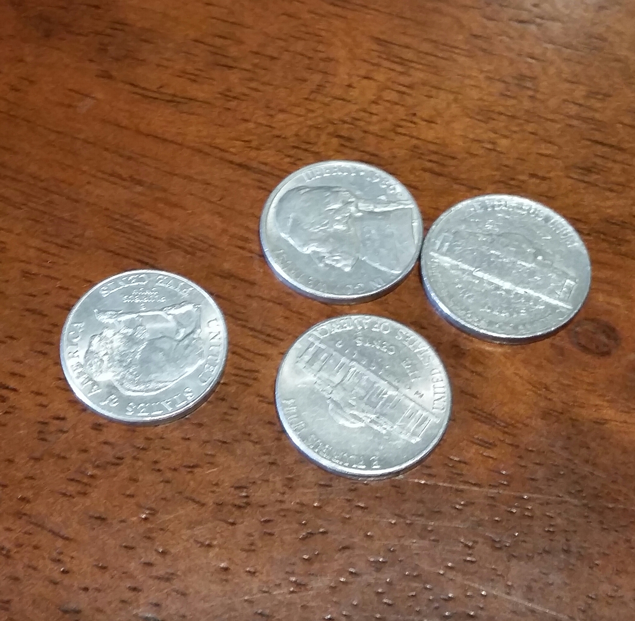 nickle sized bites of turkey for your pet