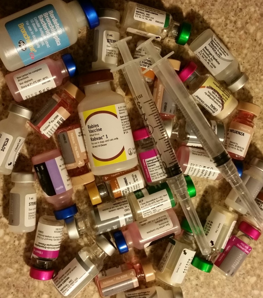 dog and cat vaccines